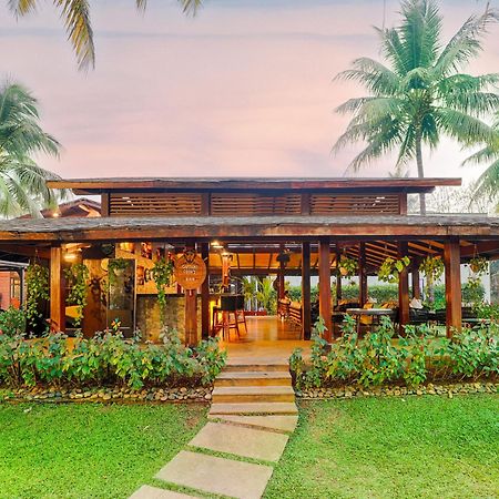 Tropicana Resort & Spa Alibaug Alībāg Exteriör bild